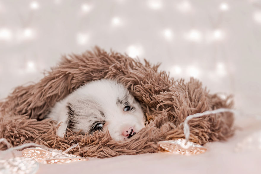 I Took Some Photos Or Adorable Babies With Little Paws