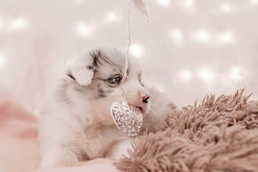 I Took Some Photos Or Adorable Babies With Little Paws