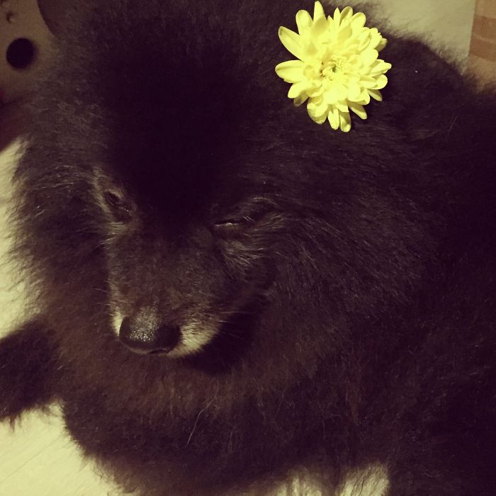 Mr. Bruno...so Pissed Off...