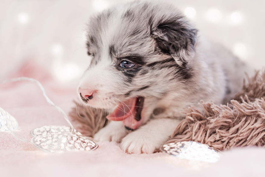 I Took Some Photos Or Adorable Babies With Little Paws