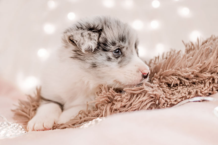 I Took Some Photos Or Adorable Babies With Little Paws