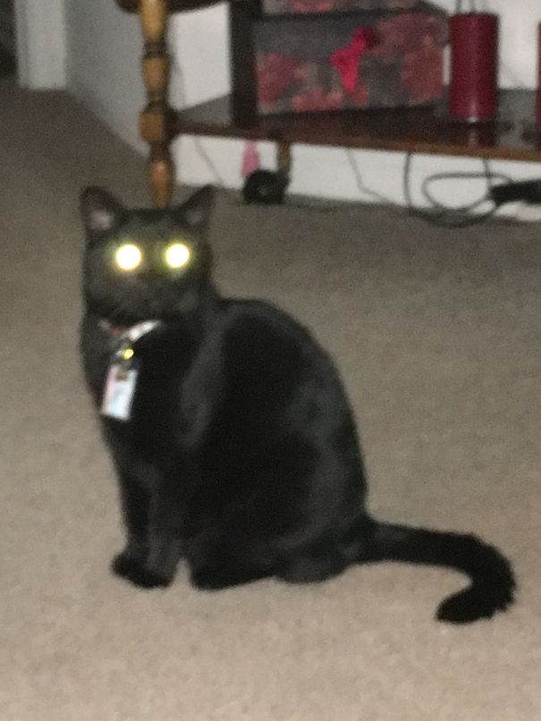 Look Into My Eyes And Submit!