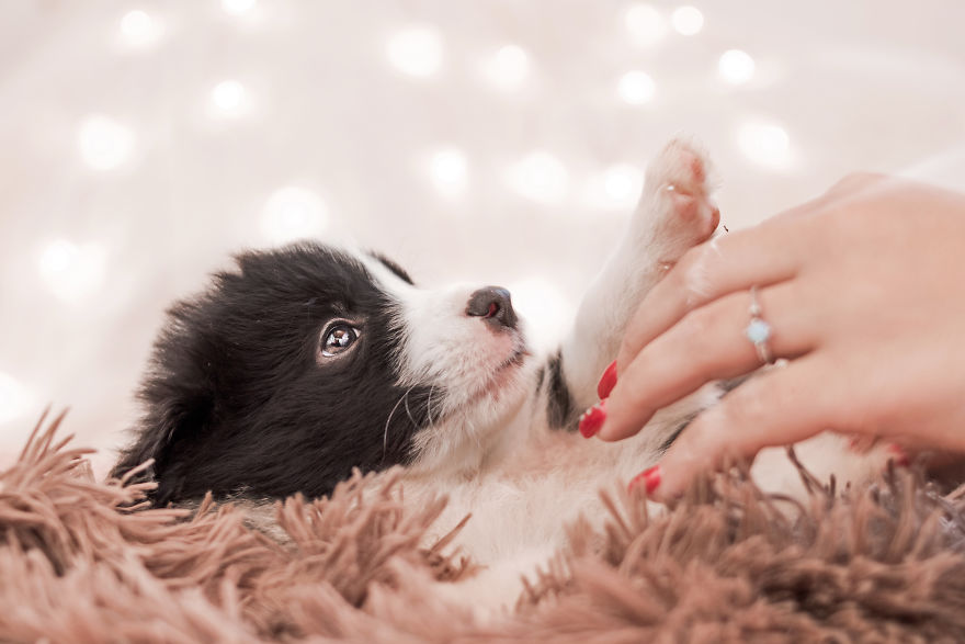 I Took Some Photos Or Adorable Babies With Little Paws