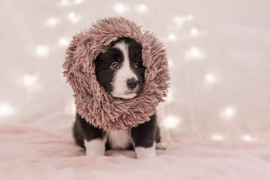 I Took Some Photos Or Adorable Babies With Little Paws