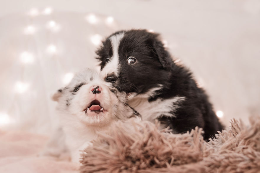 I Took Some Photos Or Adorable Babies With Little Paws