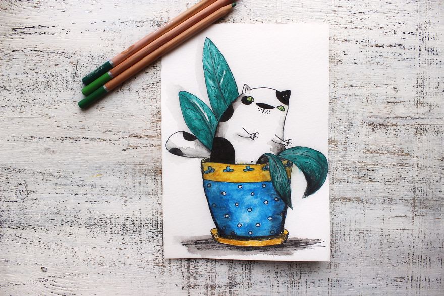 I Make Funny Cat Portraits