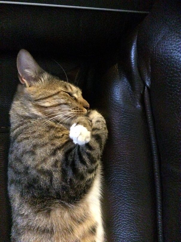 Sulking With His Arms Crossed