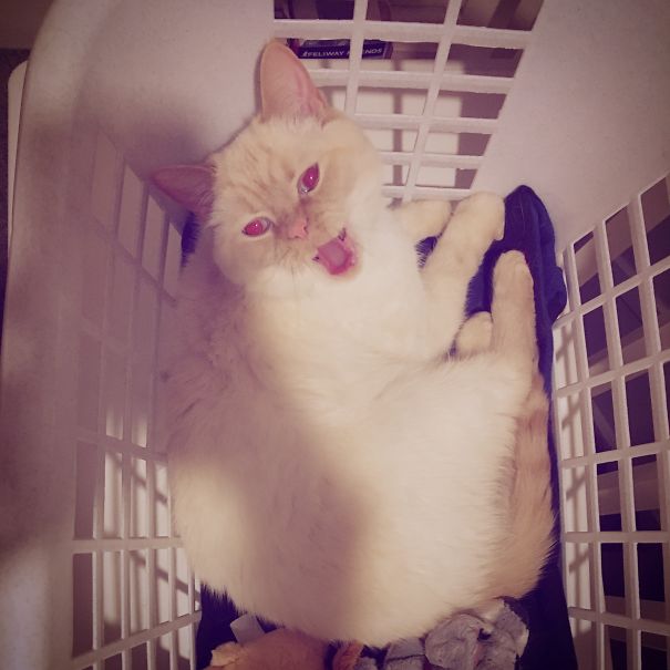 Leave Me Alone Or I'll Curse You!