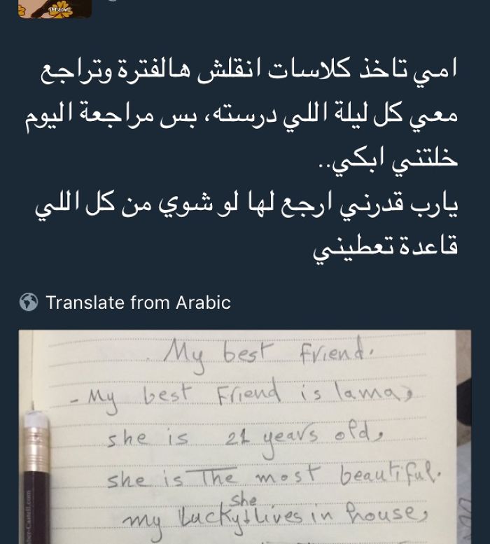 My Mom Learned English!