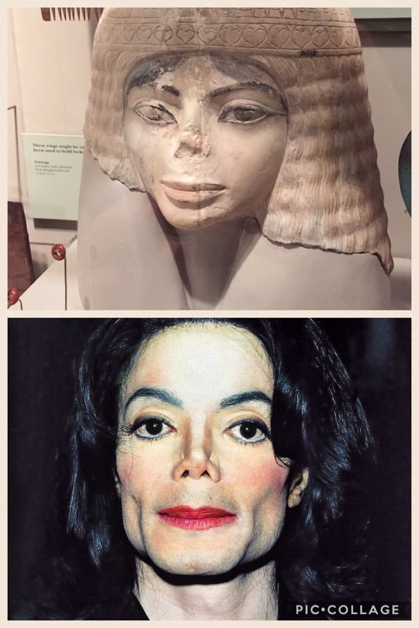 Found This At The Field Museum Chicago