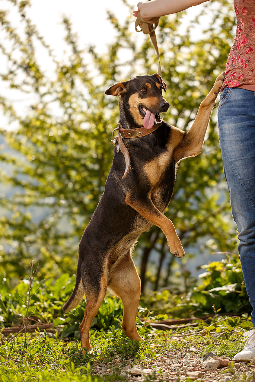 A Story About My Experiences Photographing Homeless Dogs A Story About My Experiences Photographing Homeless Dogs
