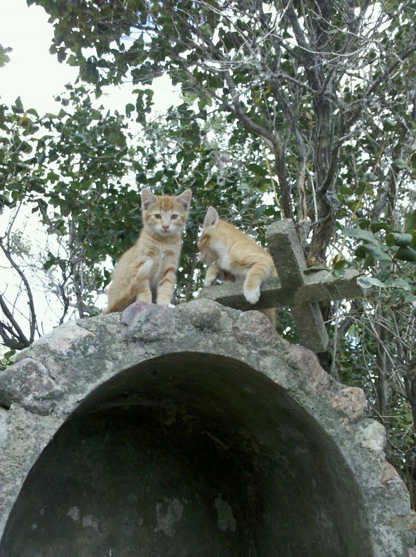 They Broke The Cross To Open The Portal To Hell!