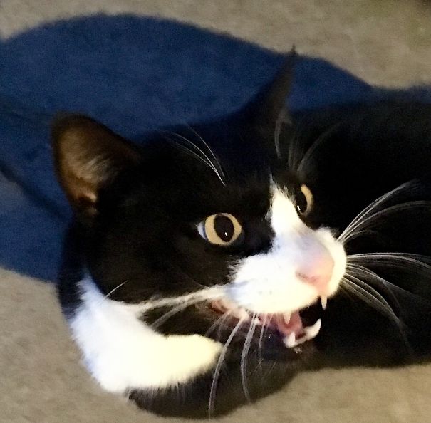 I Said, "good Day"!!!