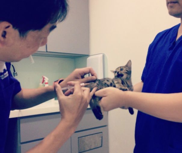 Her First Jab! @kylakittiz