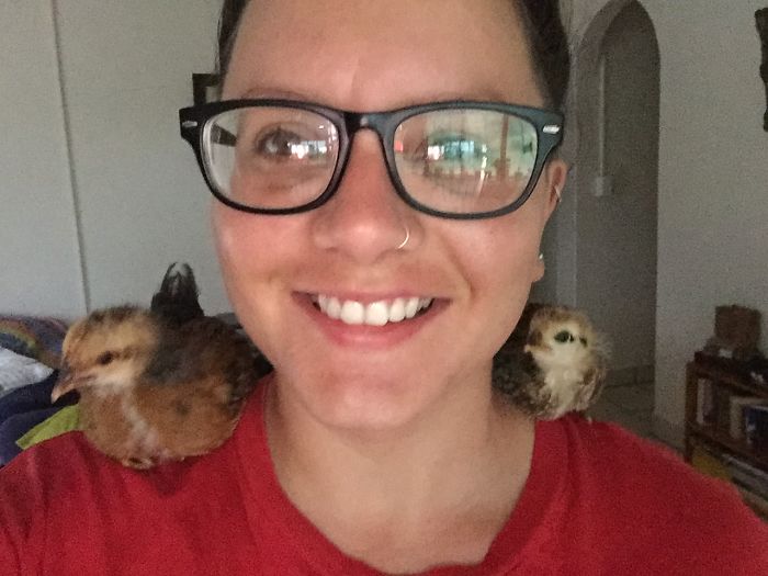 I Rescue And Care For Chickens In Paradise