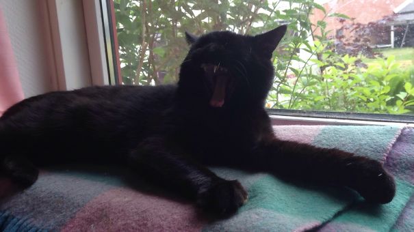 When The Prince Of Darkness, Loki, Want To Be Ledt Alone Plotting The War Of Gods And The Nine Worlds