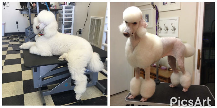 Before And After. She Feels Pretty Again!