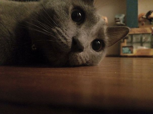 I Will Ruin Everything You Love. Fiona, Destroyer Of Worlds.