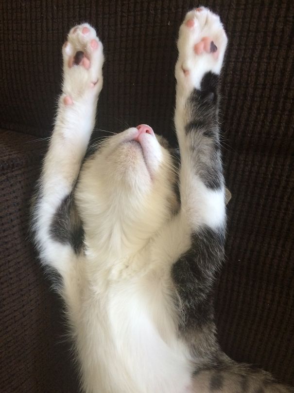 I'm Meeelllllllltttttiiiinnnnggggg!!!