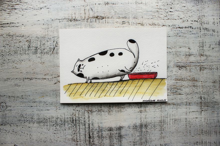 I Make Funny Cat Portraits