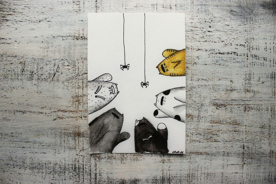 I Make Funny Cat Portraits