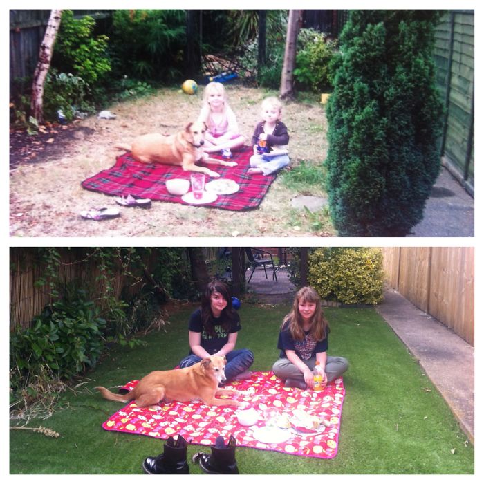 2005 And 2015. Doggo Is Still Eyeing Up The Food