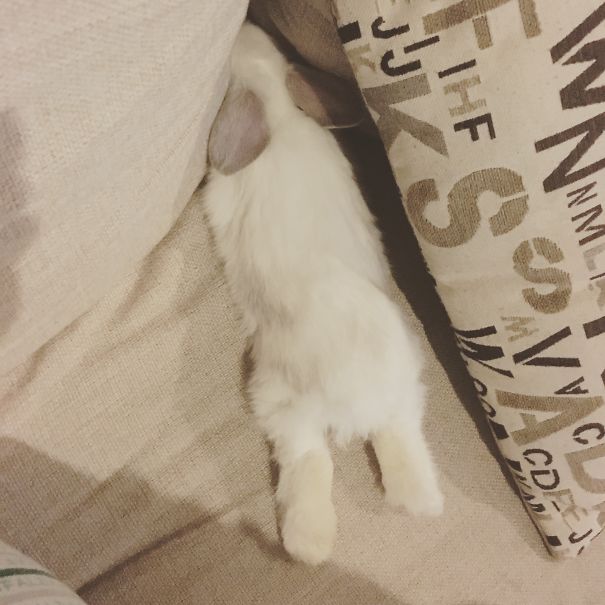 Her First Day At Home, She Was 1.5 Months And Exhausted