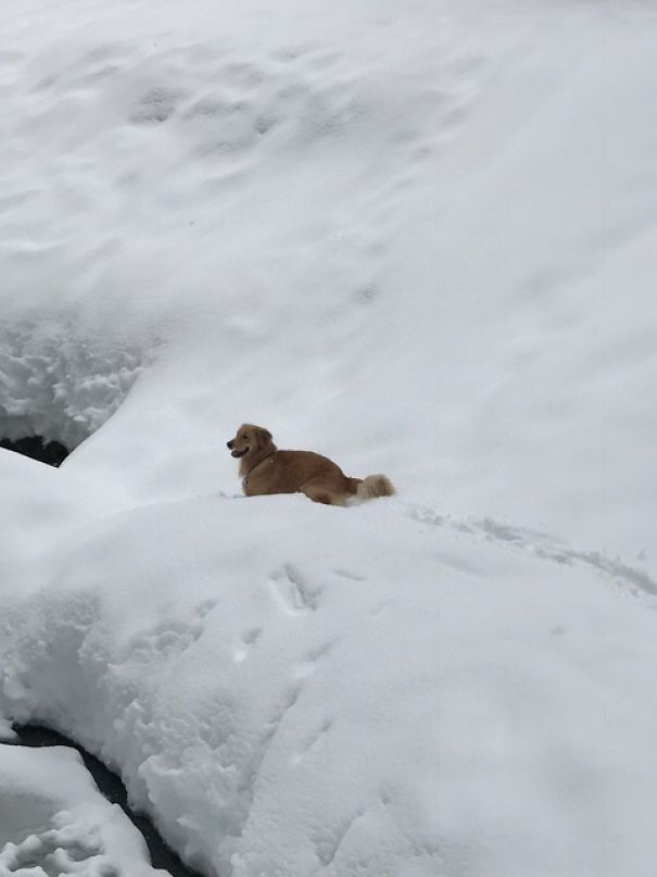 Flash's Time Seeing Snow!