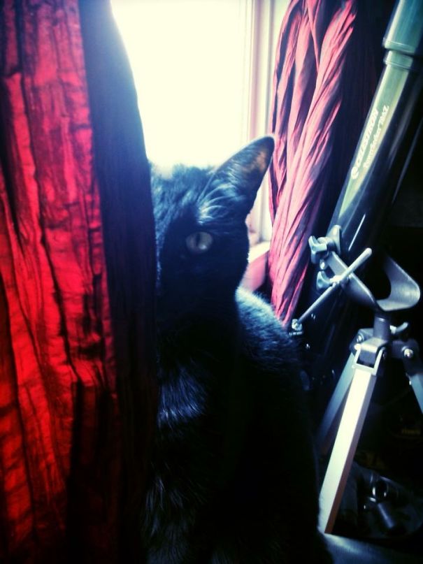 I'm Watching You, Plotting...