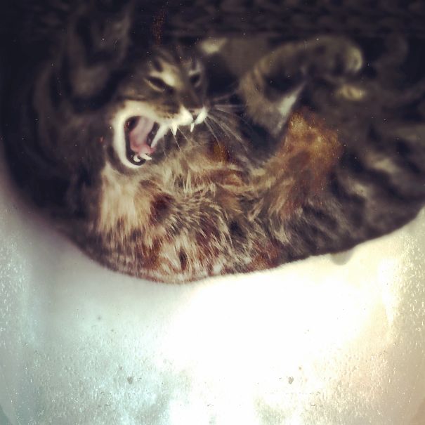 Just Having A Little Stretch