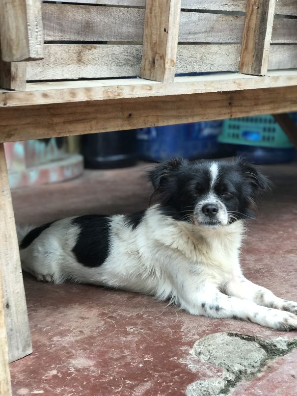 Whenever Mom Asks For Selfie I Couldnt Take It