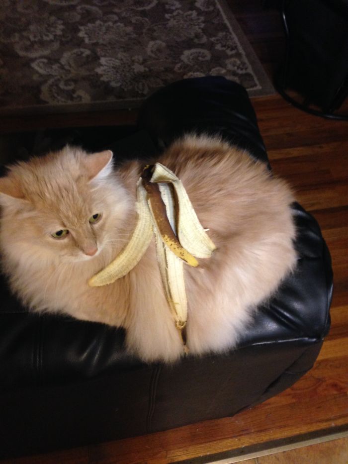 She Likes It. She Does.