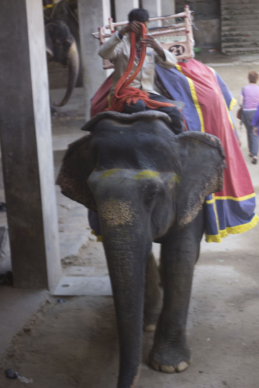 Photographer Took A "Tourist Eye View" Across India - And The Result Was Amazing.