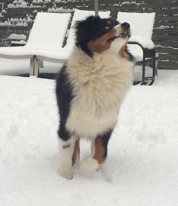 Her First Time In The Snow