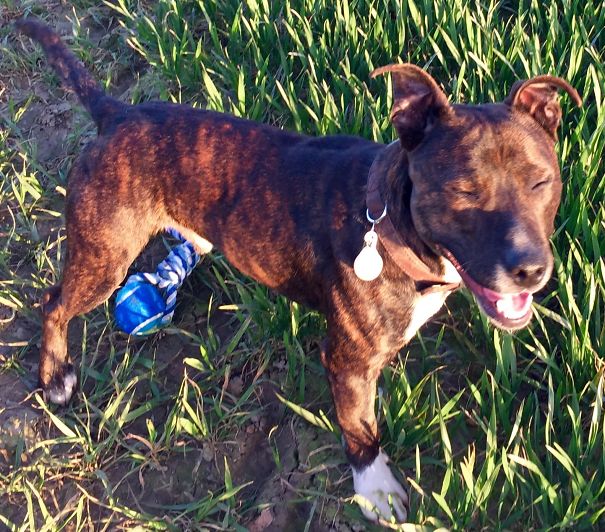 Joey's First Time Off The Lead!