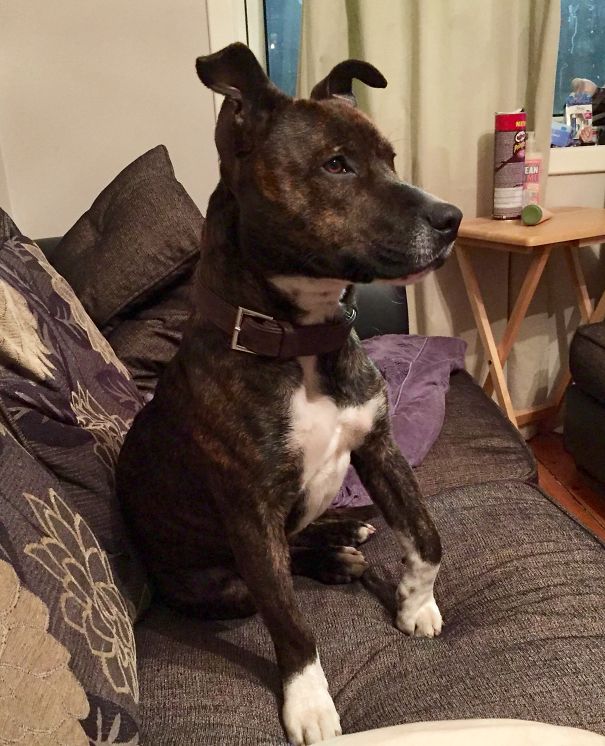 Joey's First Time Watching The Walking Dead!