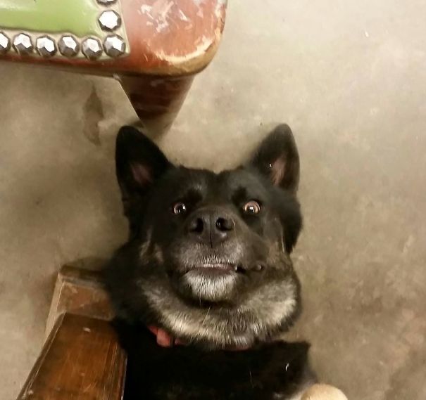 Freyja's Reaction The First Time She Saw A Camera Flash