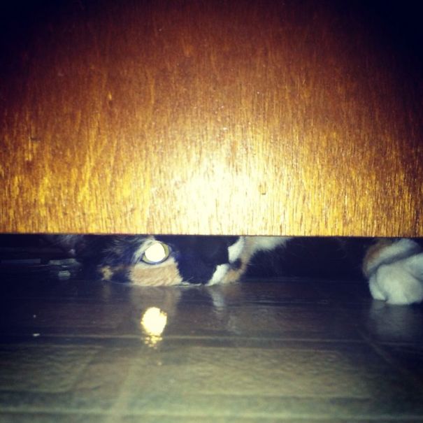 You Can't Hide From Me...