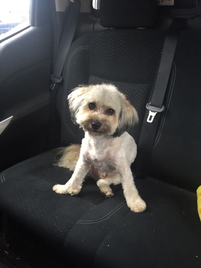 Hank Before And After..