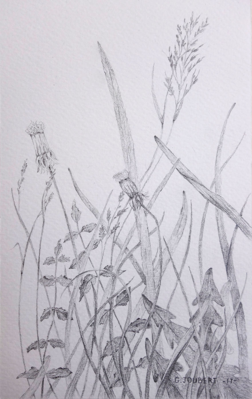 I'm Drawing My Way To Budapest