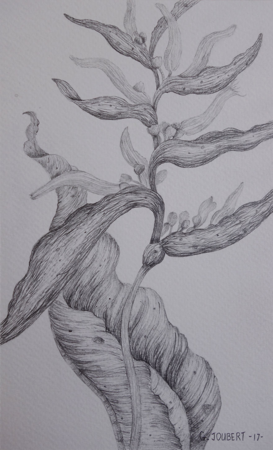 I'm Drawing My Way To Budapest