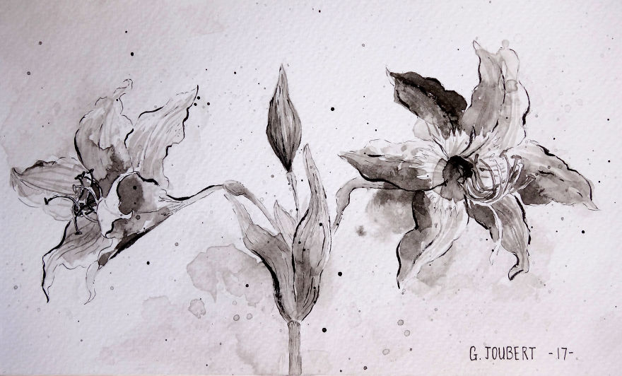 I'm Drawing My Way To Budapest