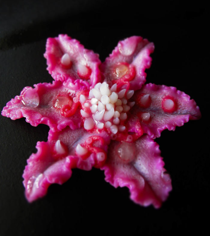 I Make Delicate Carnivorous Flowers (carnifloras Or Fleeth) Using Polymer Clay And Natural Gems