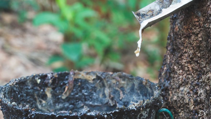 Climbing What I Call Home Climbing What I Call Home