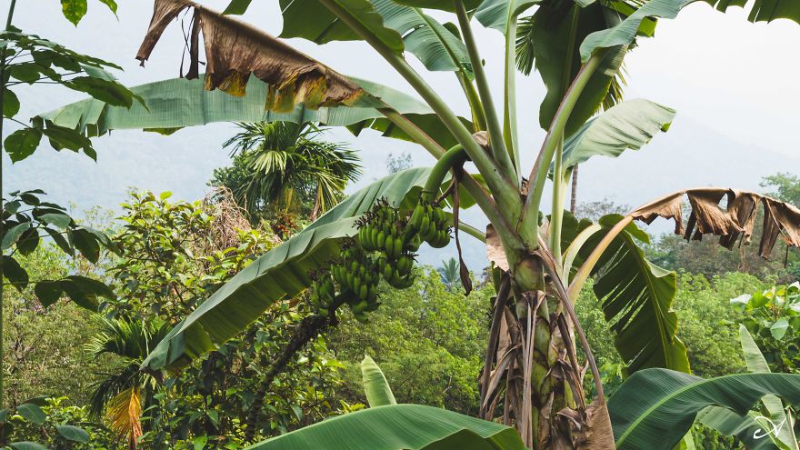 Climbing What I Call Home Climbing What I Call Home