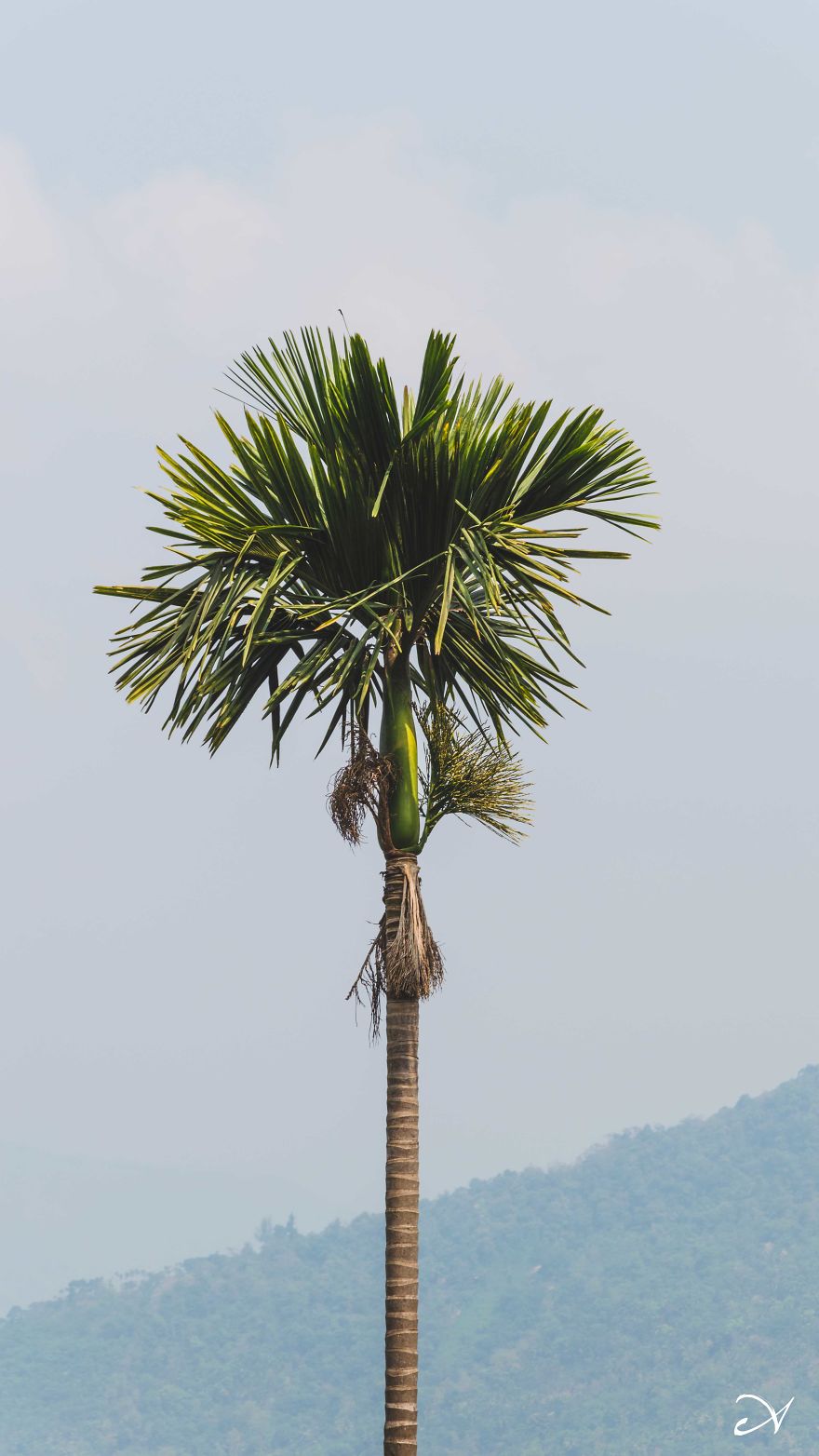 Climbing What I Call Home Climbing What I Call Home