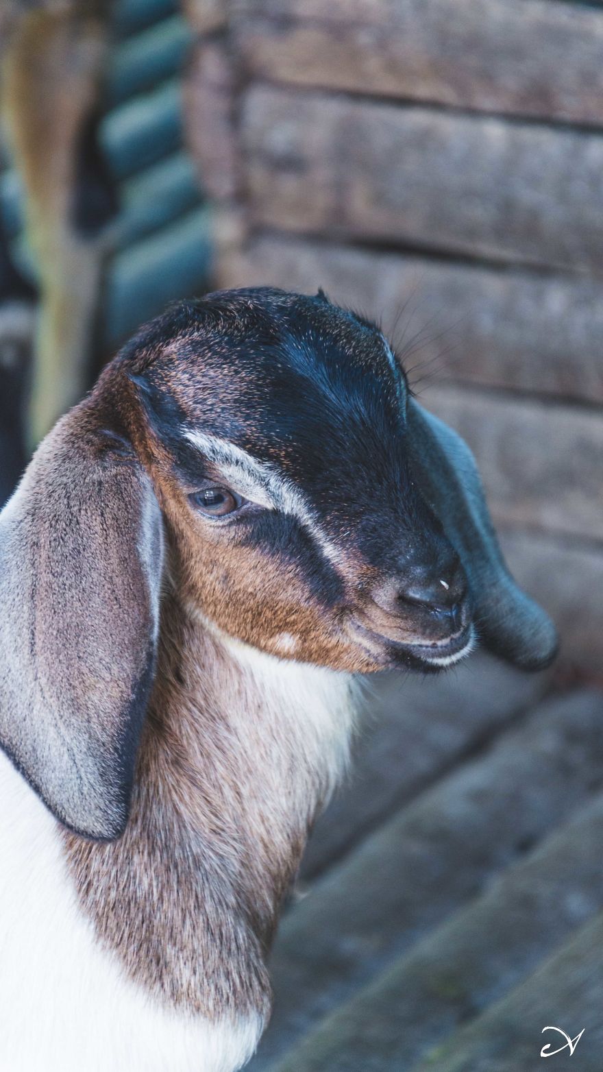 Climbing What I Call Home Climbing What I Call Home