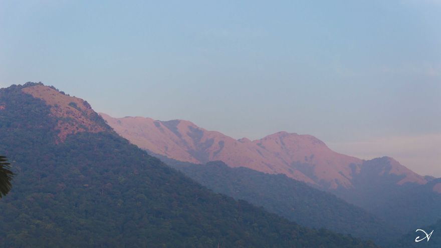 Climbing What I Call Home