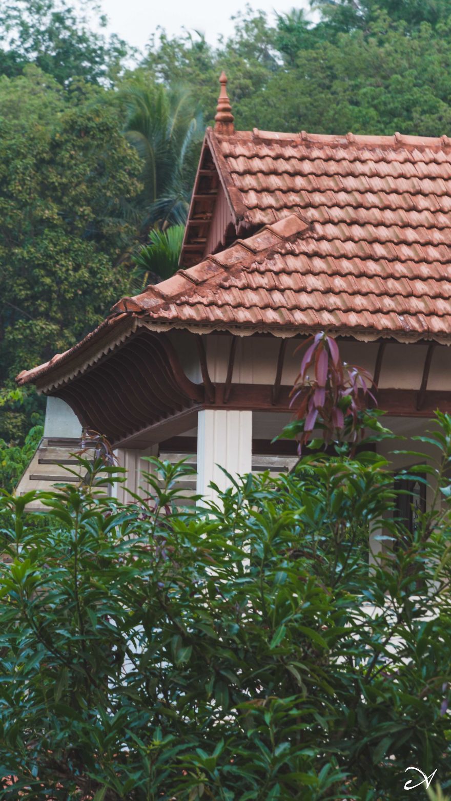 Climbing What I Call Home Climbing What I Call Home