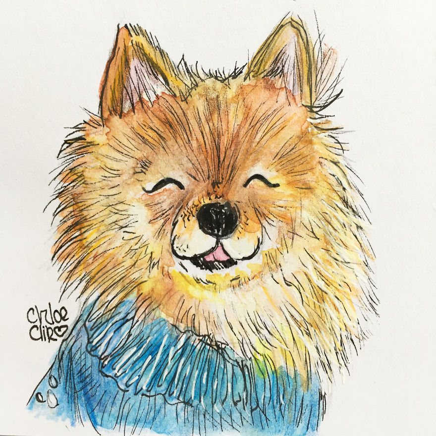 I Create Miniature Pet Portraits